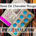 Red Knight Sex new07